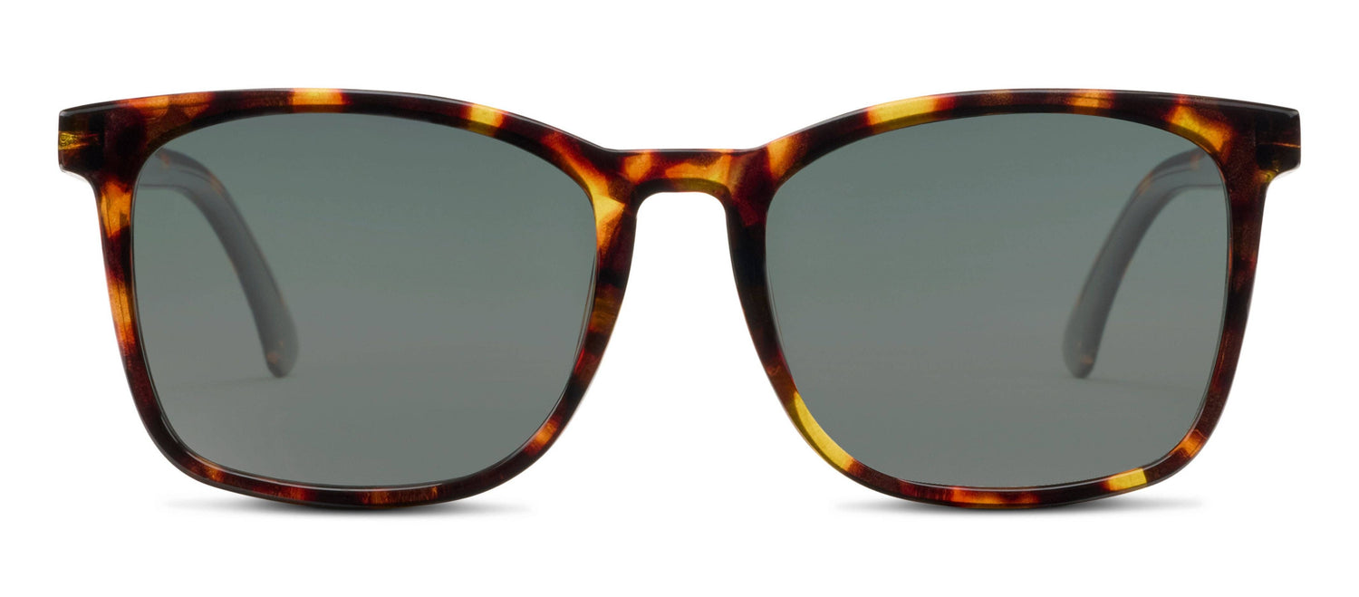 Mateo Sun Polarized Sunglasses order at boltranchstore.com