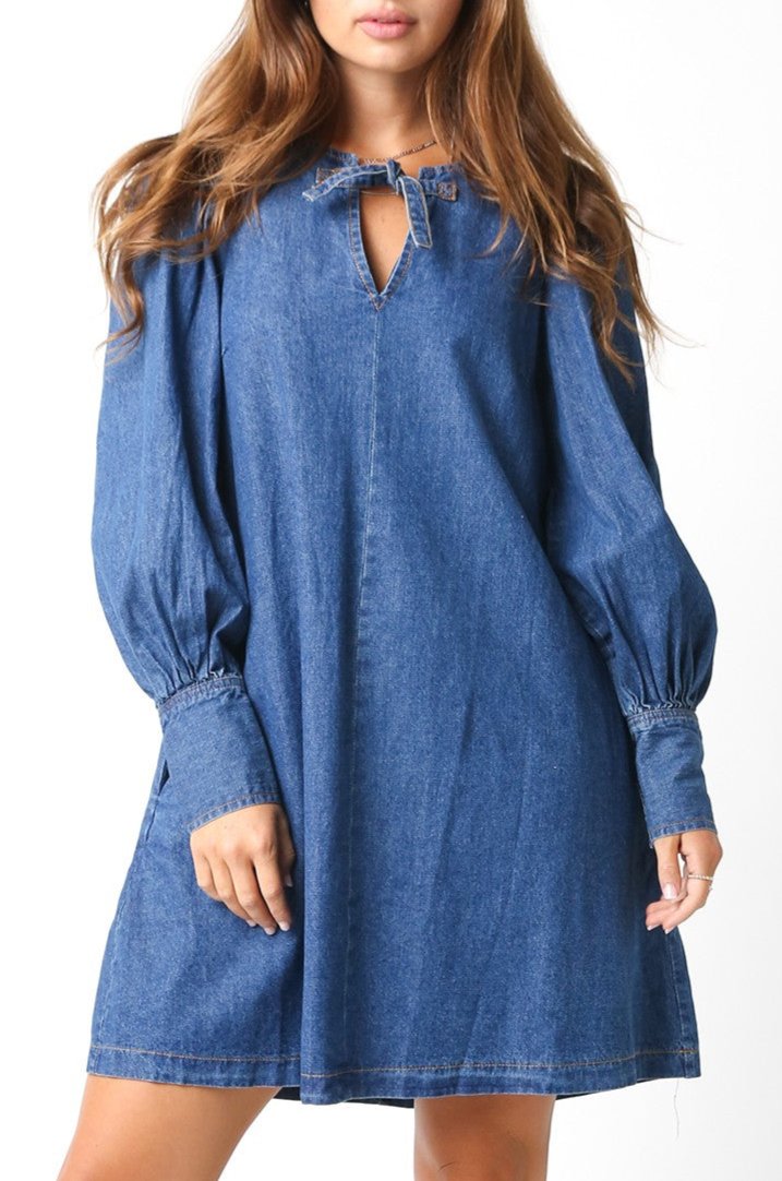 Miranda Denim Dress