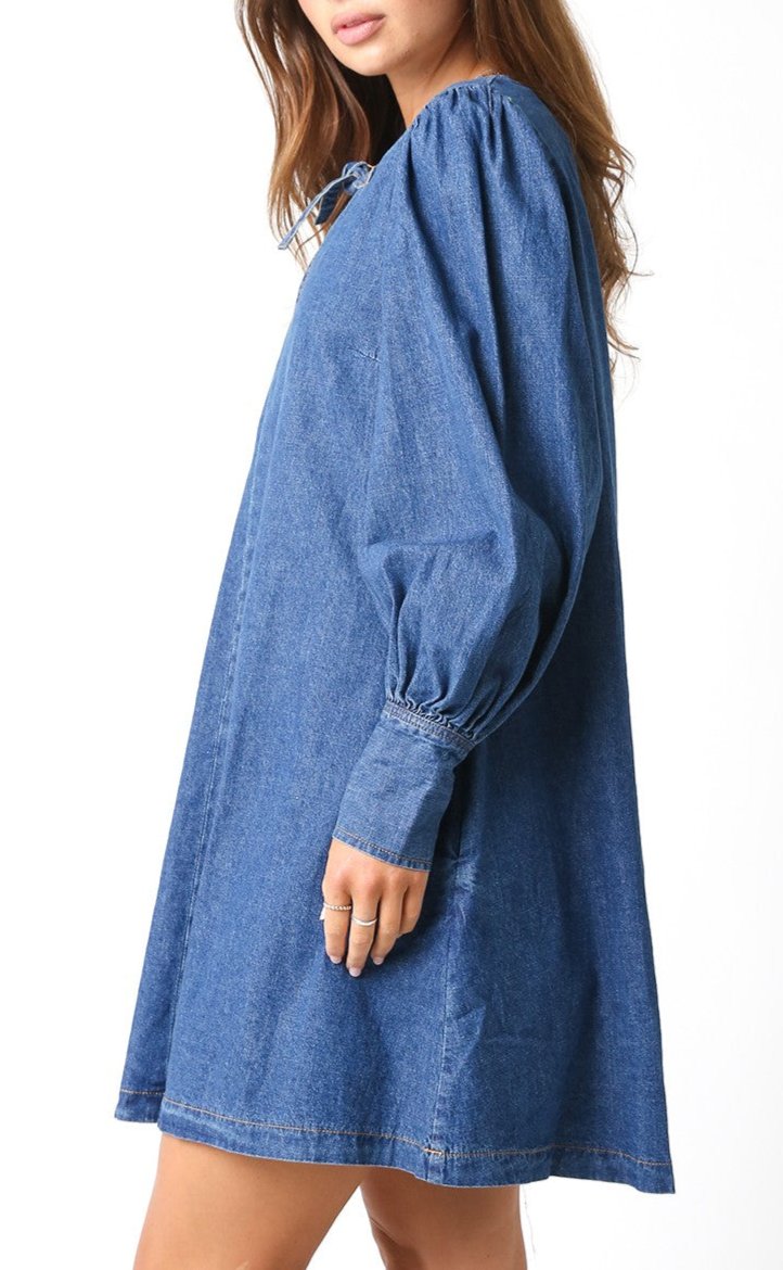 Miranda Denim Dress