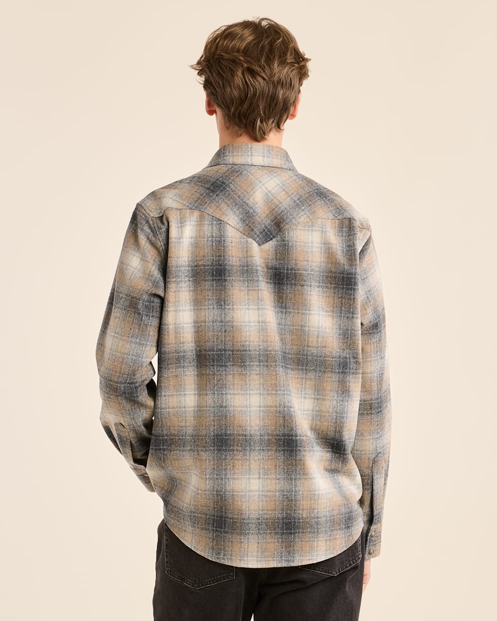 Pendleton Mens Western Snap Canyon Shirt