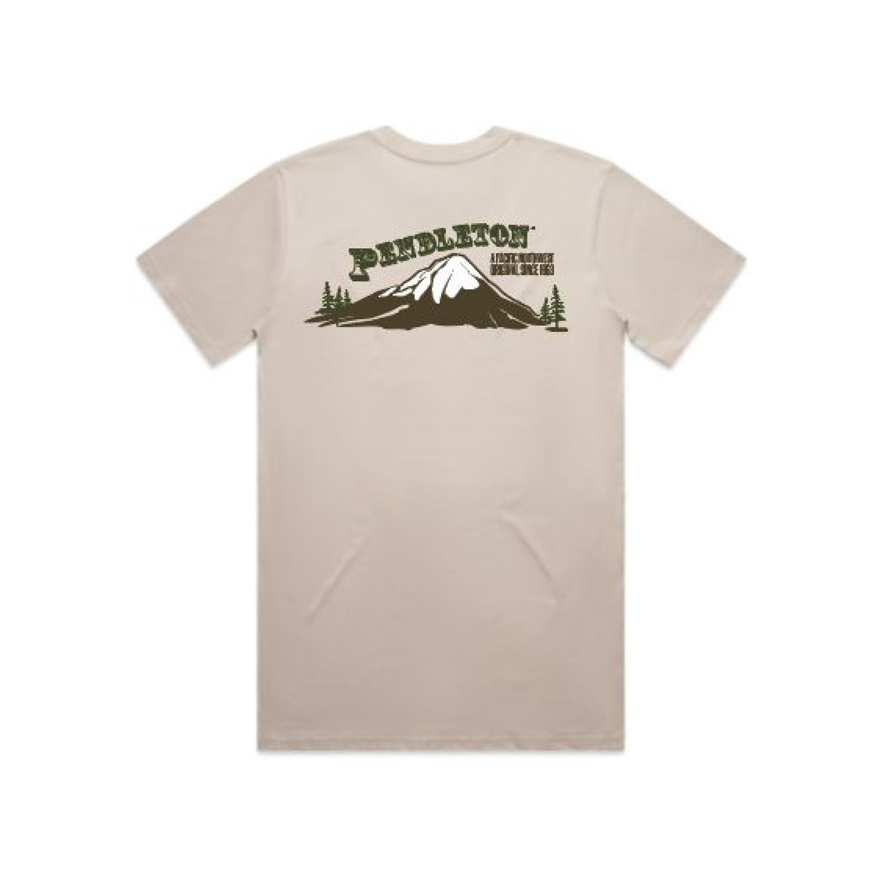 Pendleton Mountain Top Graphic Tee order at boltranchstore.com