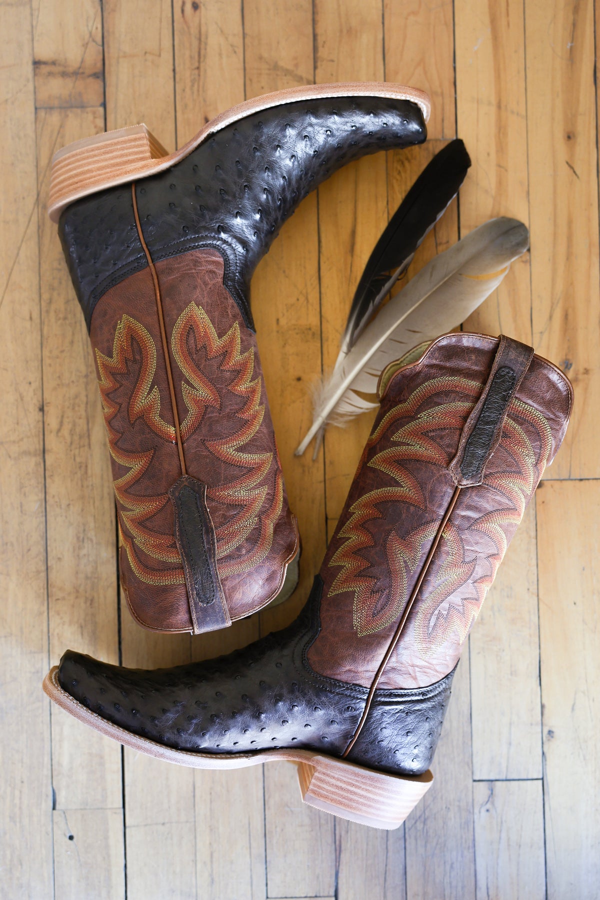 R Watson Mens Full Quill Ostrich Square Boot mens black boots cowboy boots ostrich leather formal dress boot Boltranchstore.com western fashion Mens Free Shipping R Watson retailer