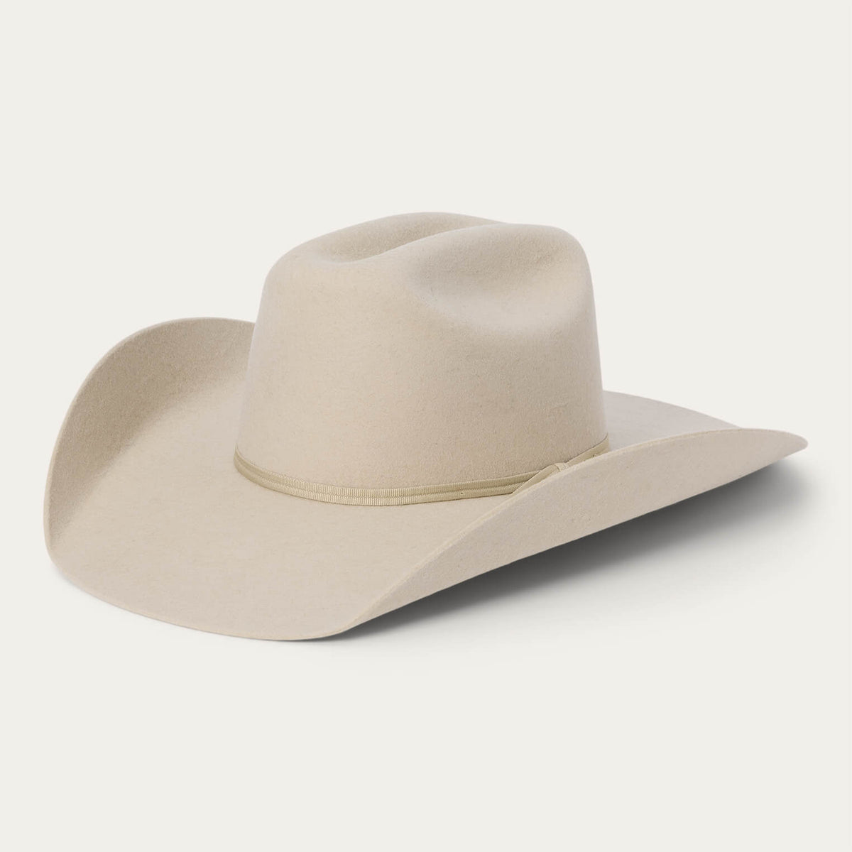 Stetson Rodeo Jr Youth Cowboy Hat Buck three and a half inch brim sized for kids