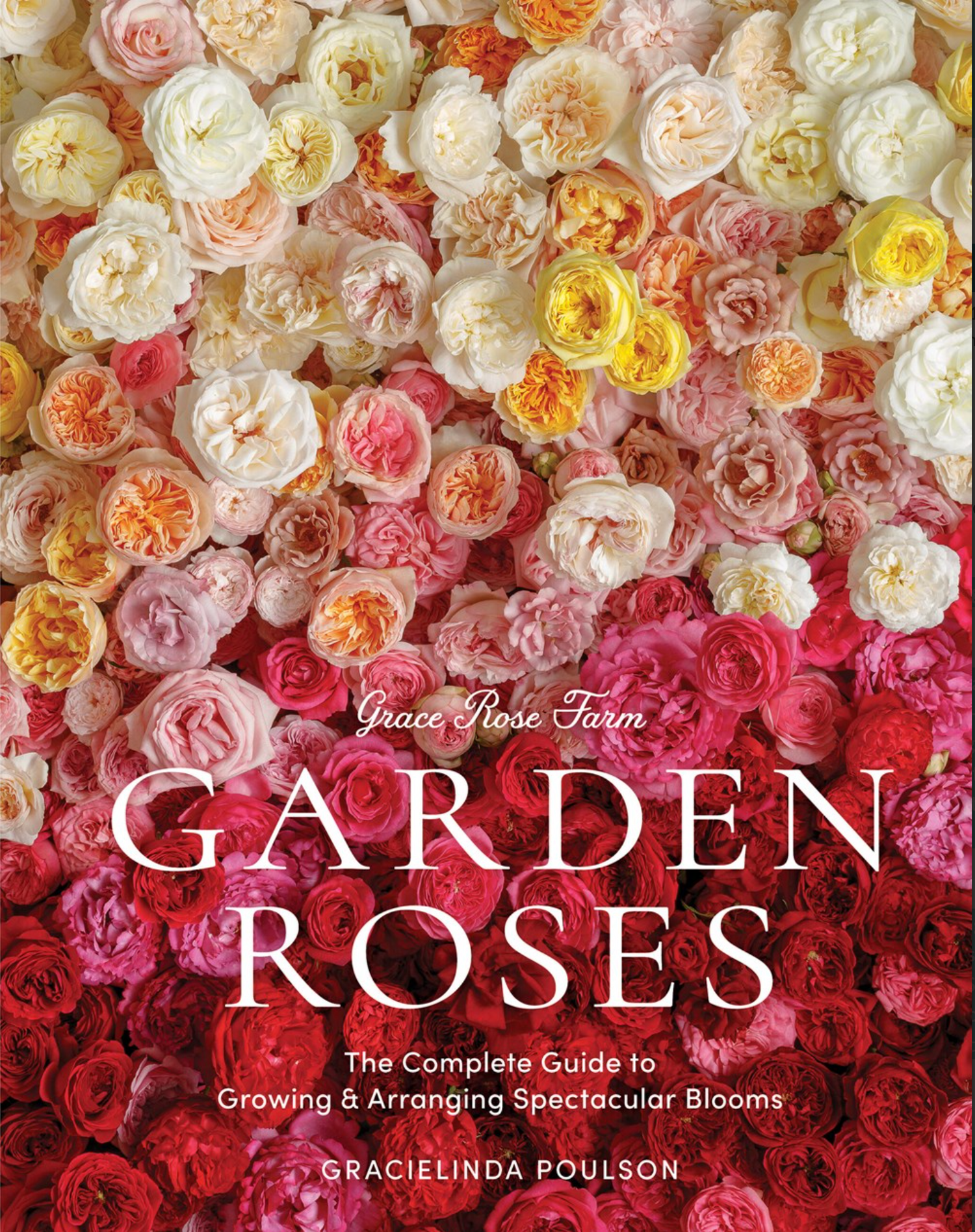 Grace Rose Farm - Garden Roses