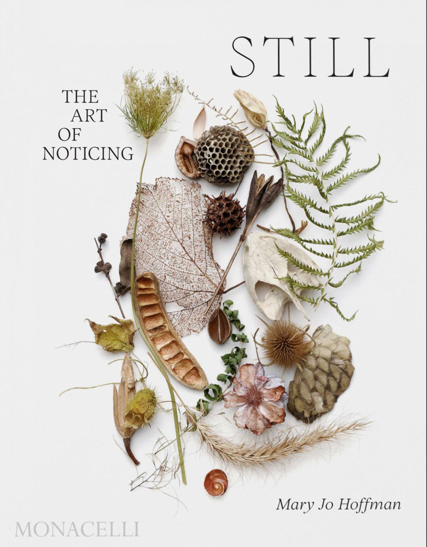 Still - The Art of Noticing Book