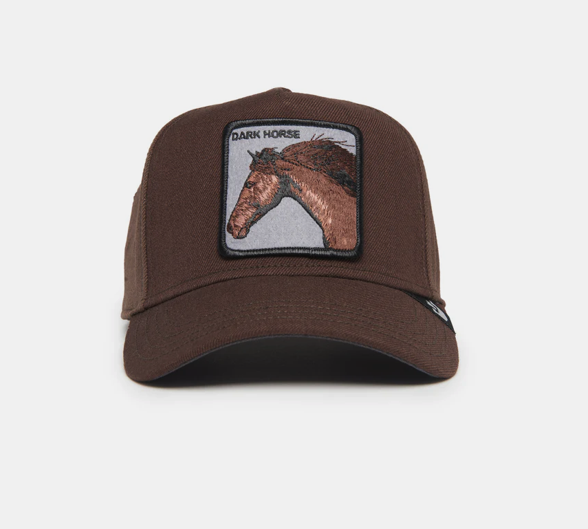 Goorin Bros Dark Horse Field 100 Hat