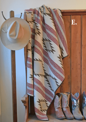 Tasha Polizzi Cooper Throw Blanket