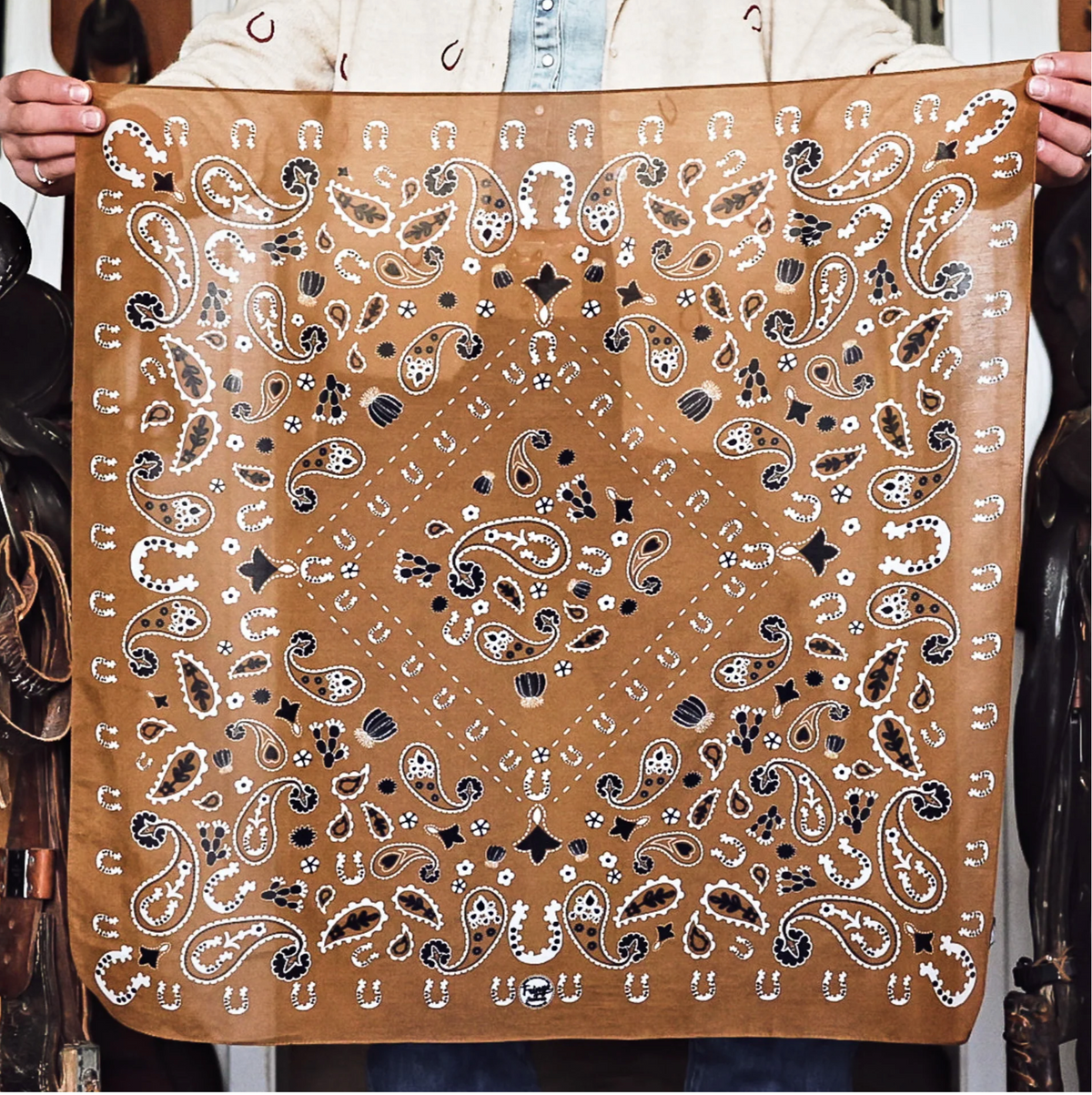 Fringe Luck Be A Paisley