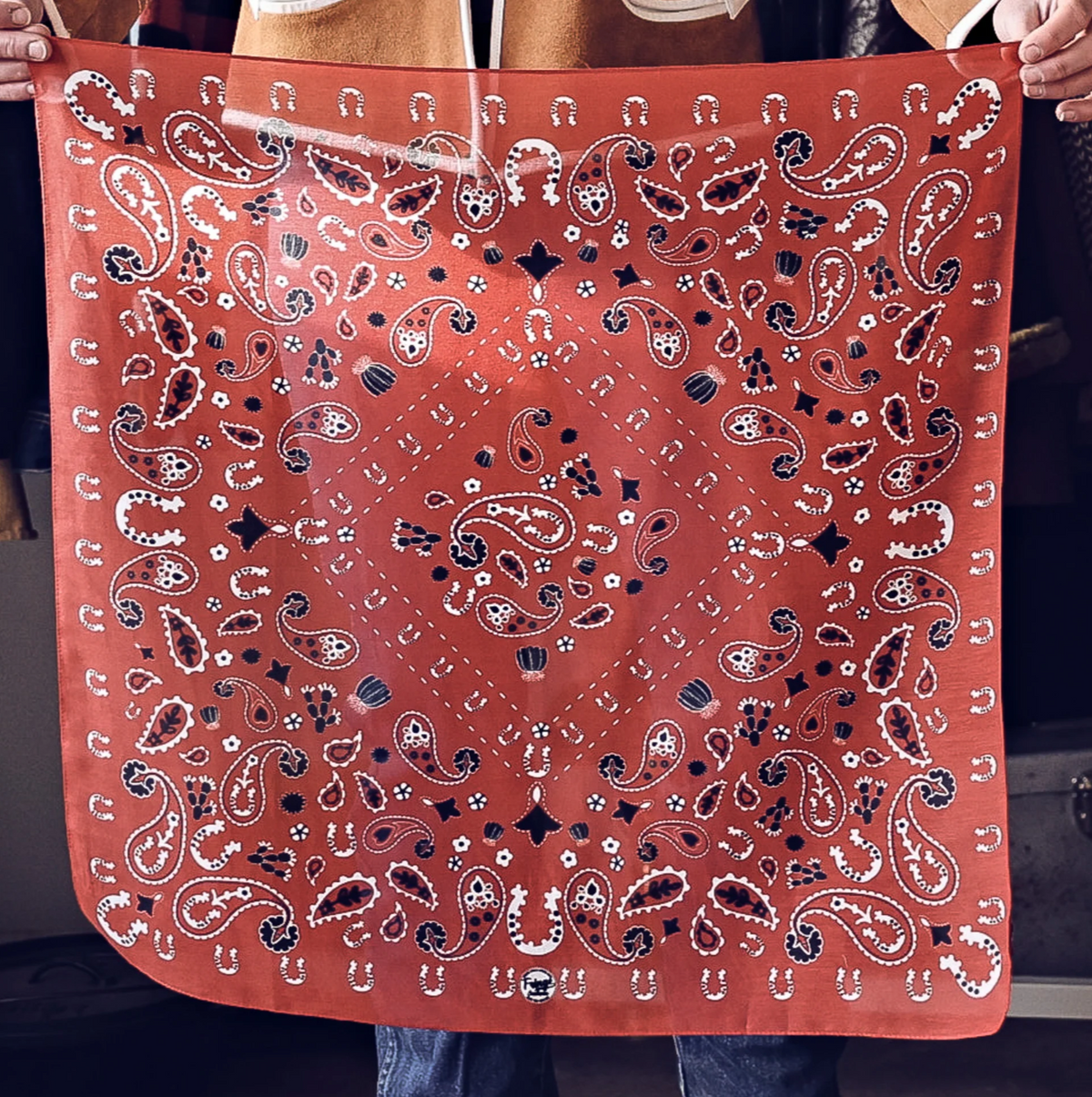 Fringe Luck Be A Paisley