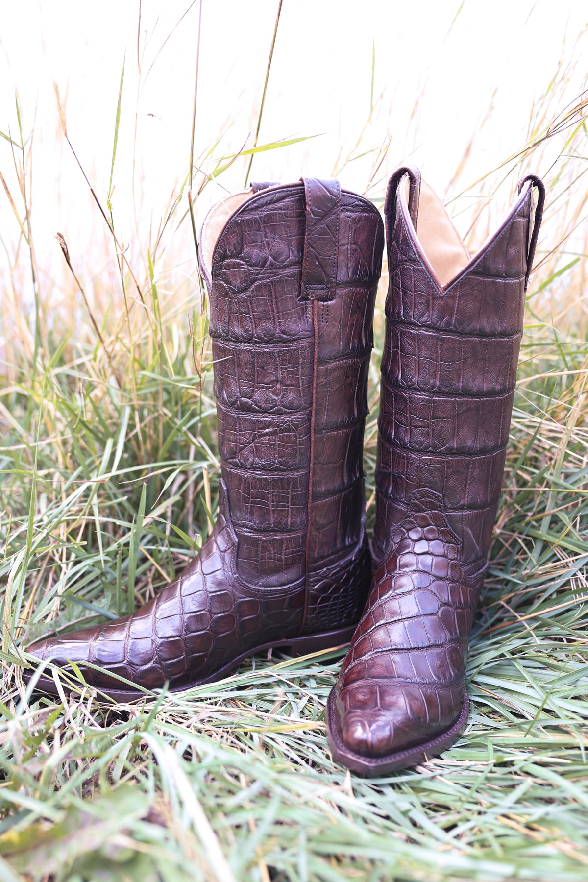 Stetson Womens Sterling Alligator Boots 12-021-6118-4339 brown exotic cowboy boots new fall 2026 stetson western boots sold locally at Bolt Ranch Store