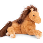 Bukowski Tristan gentle expression on a twelve inch pony for little cowboys