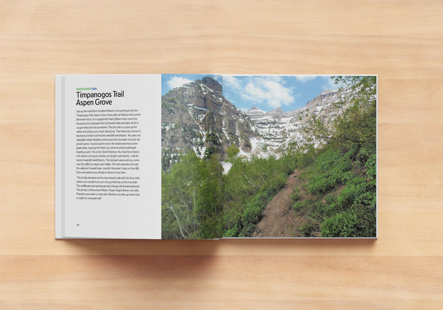Wildflowers of Park City Coffee Table Book