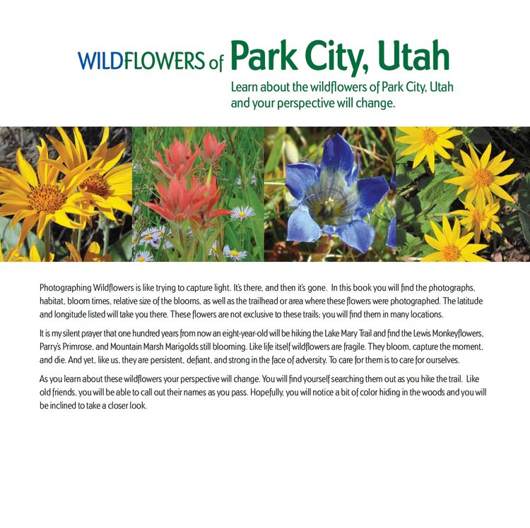 Wildflowers of Park City Coffee Table Book