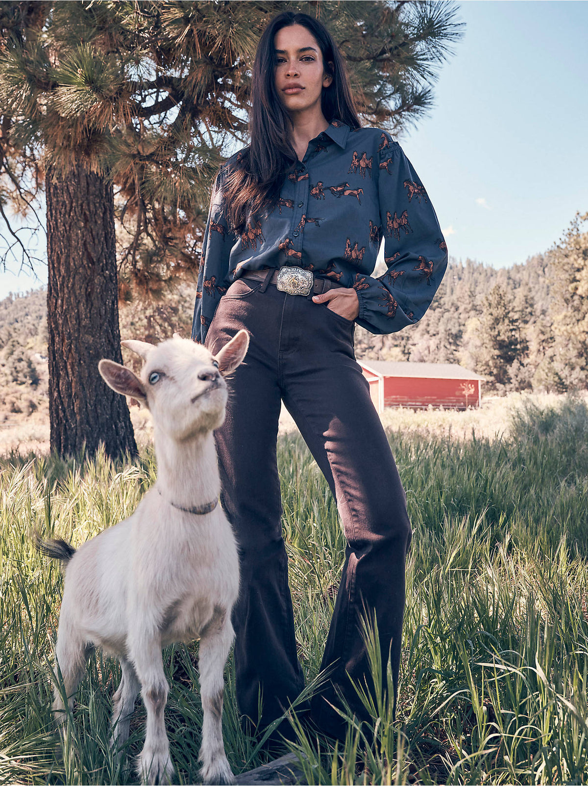 Womens western boutique Utah womens fashion Wrangler Womens Retro Bailey High Rise Trouser Jean Vera SKU 112382317 Bolt ranch store.com free shipping