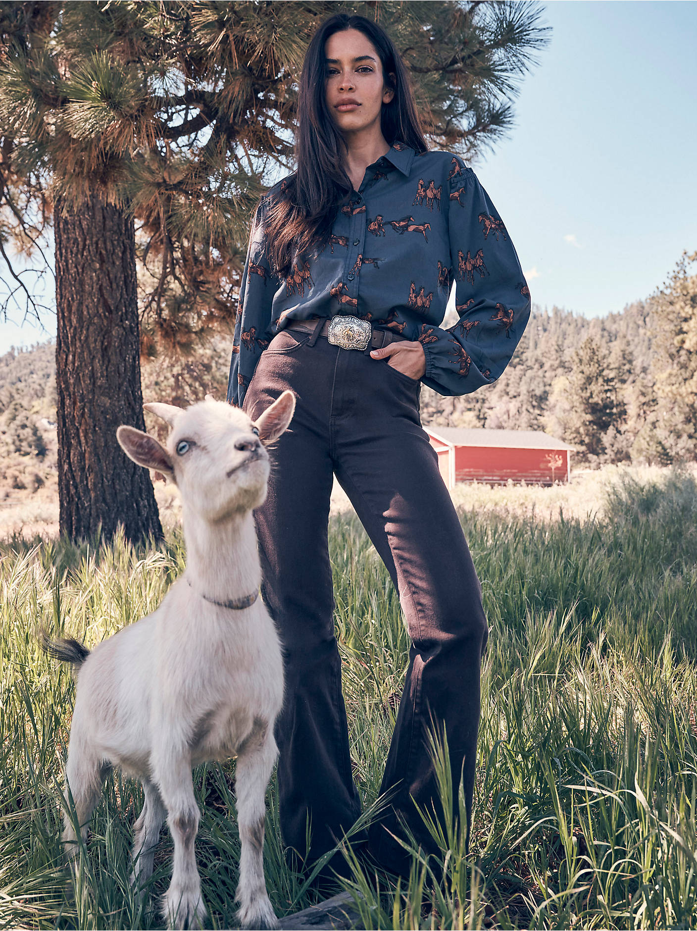 Womens western boutique Utah womens fashion Wrangler Womens Retro Bailey High Rise Trouser Jean Vera SKU 112382317 Bolt ranch store.com free shipping