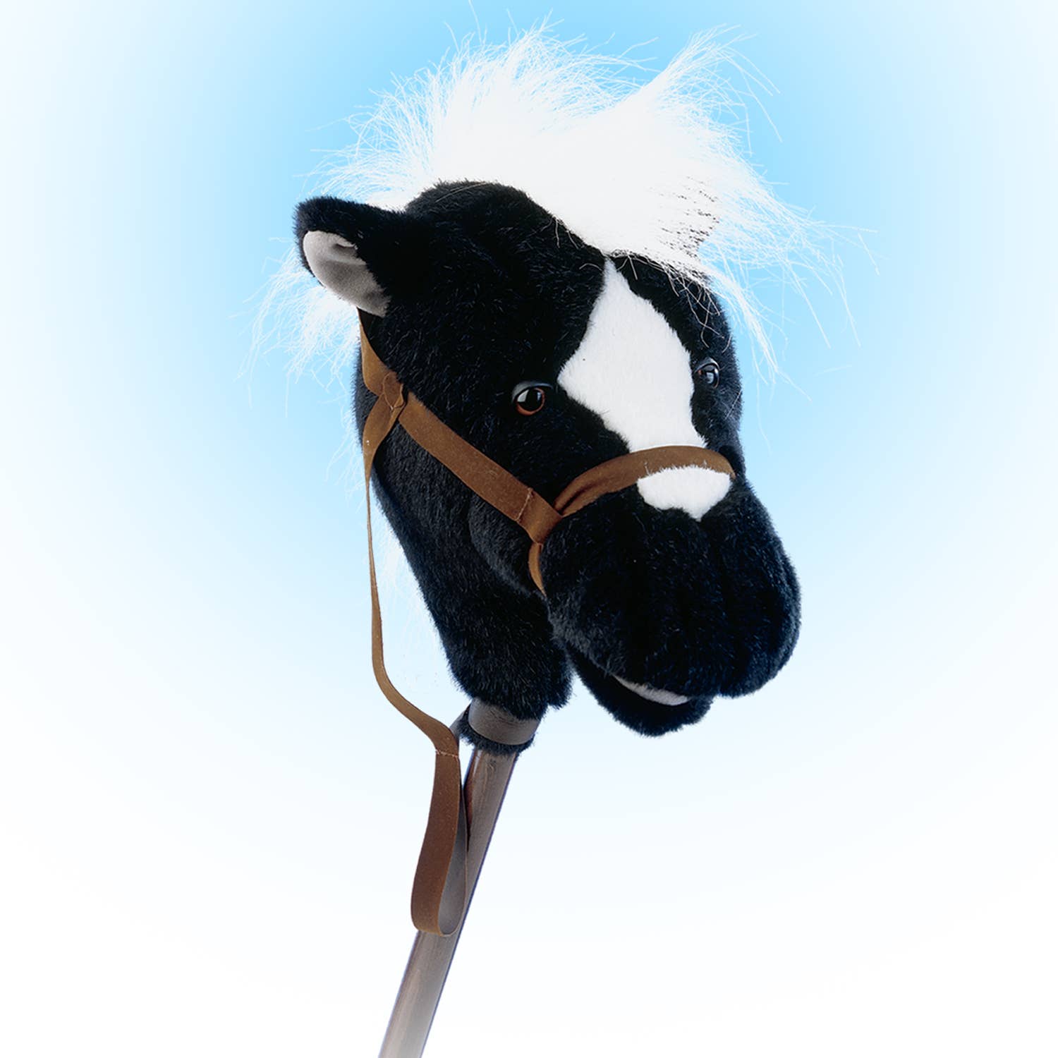 Easy Ride um Black Horse