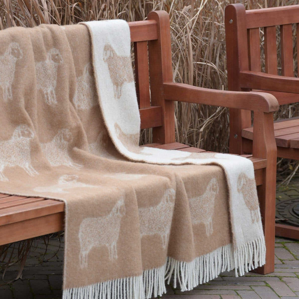 JJ Textile Brown Sheep Pure Wool Throw