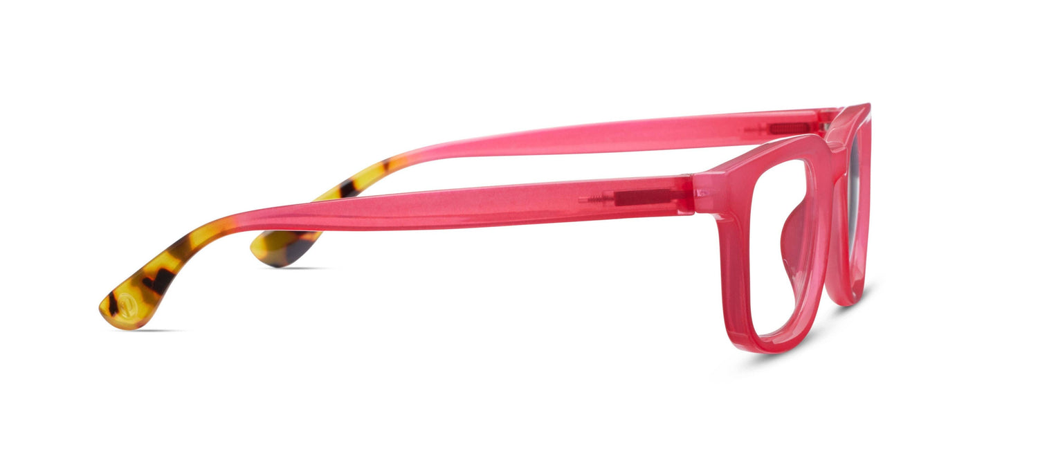 Canopy Reading Eyeglasses