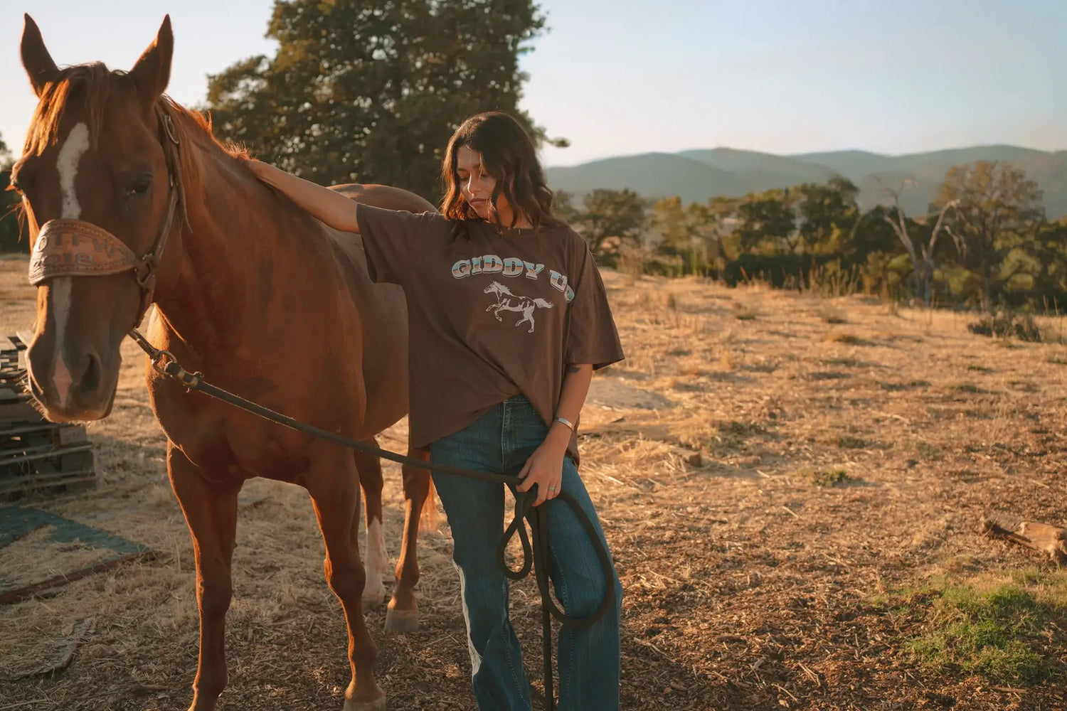 Giddy Up Boyfriend Tee
