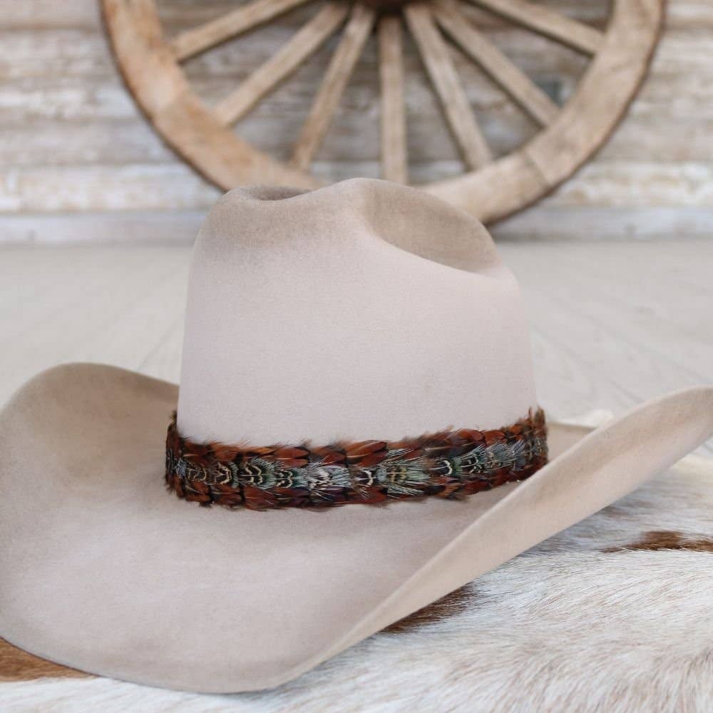 Feather Hat Band in Brazos