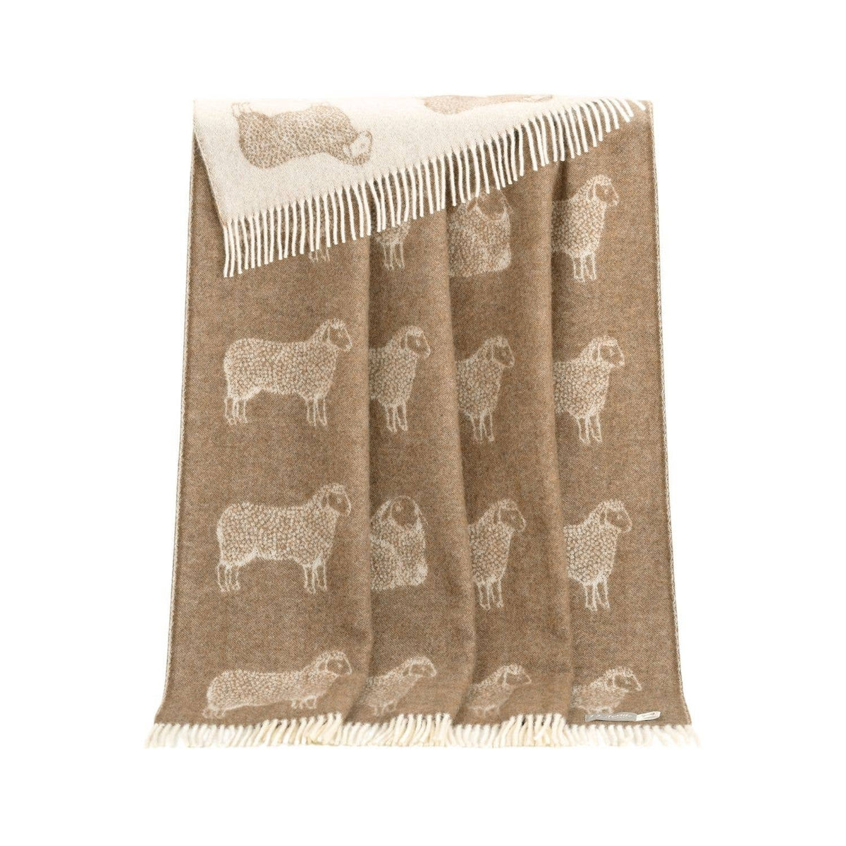 JJ Textile Brown Sheep Pure Wool Throw