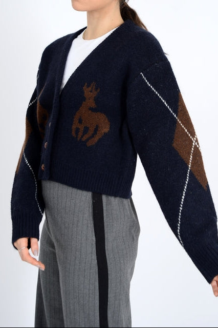Galswintha Long Sleeve V Neck Cardigan