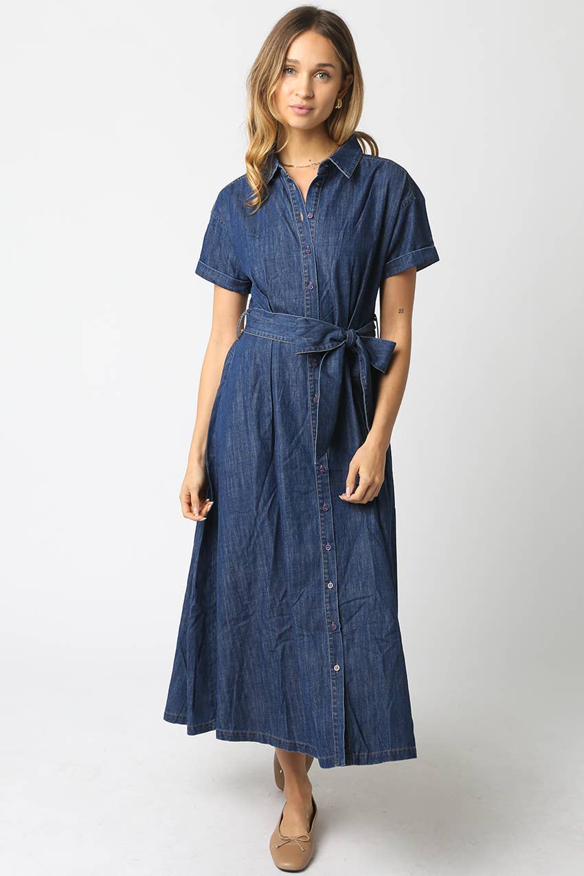 Gracie Denim Belt Dress