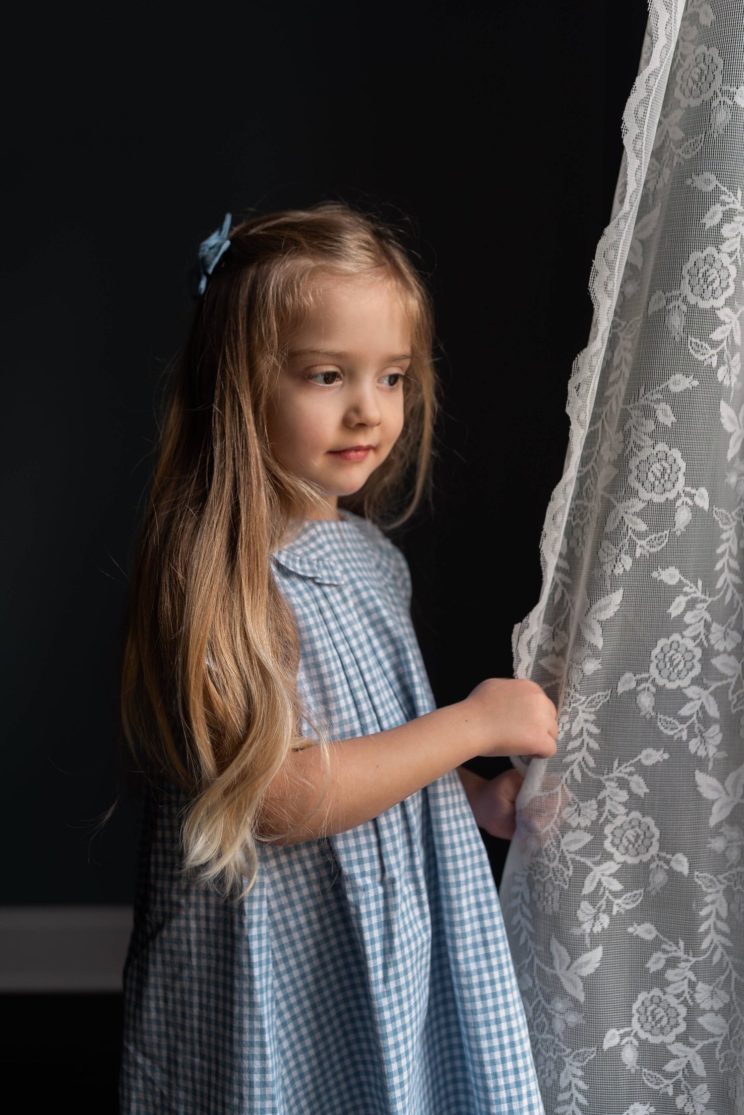 Bluebell Gingham Ruffle Collar Dress