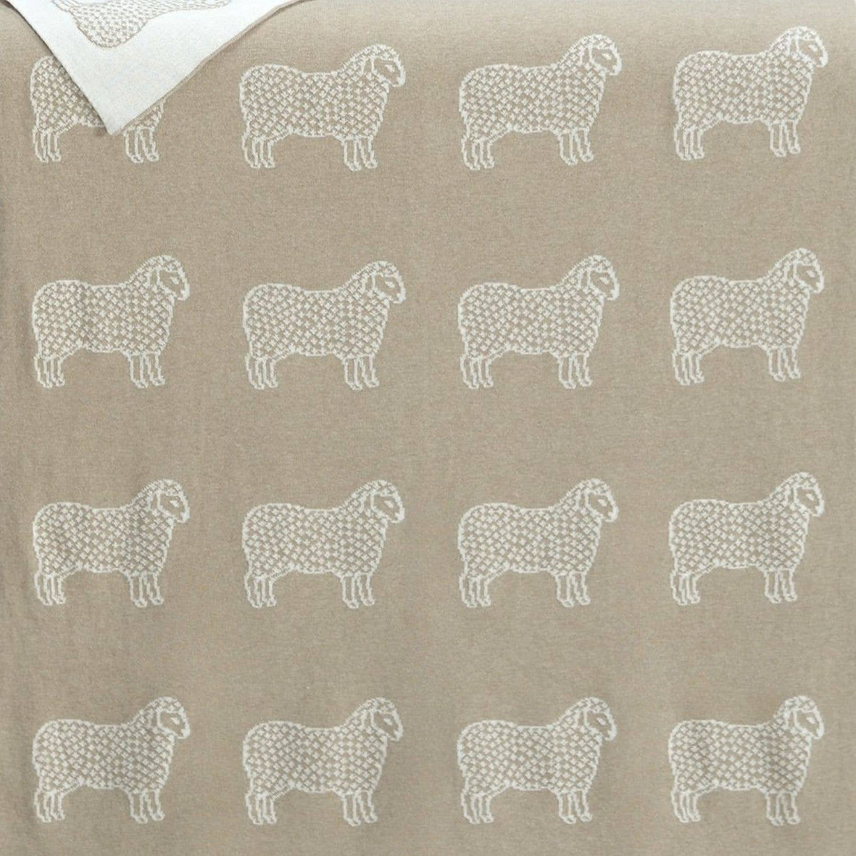 JJ Textile Sheep Cotton Little Blanket