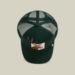 Goorin Bros Over the Line Buck six panel crown with a matching covered top button and clean seams rodeo ready