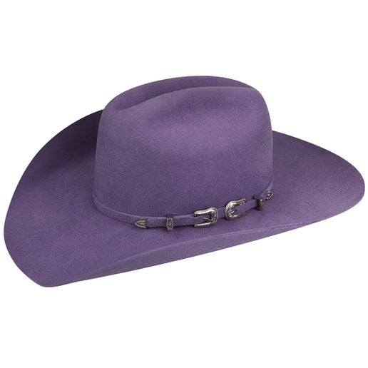 Bailey Punchy Cowboy Hat - Montana Grape